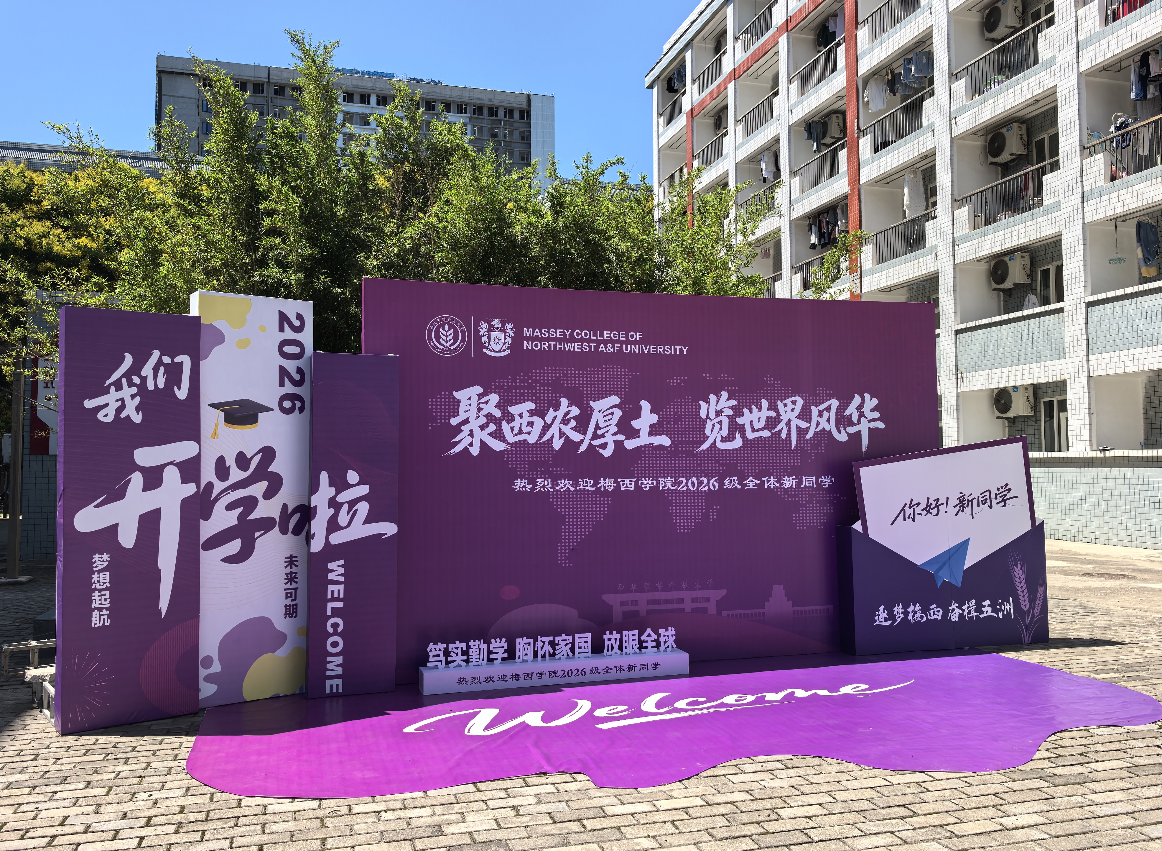 学生公寓氛围营造.jpg